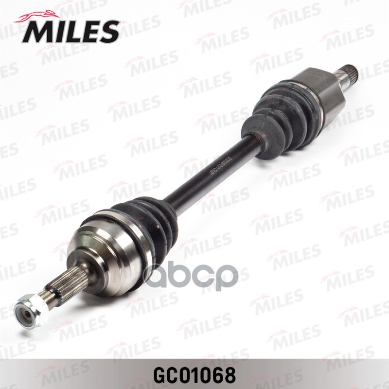 MILES GC01068