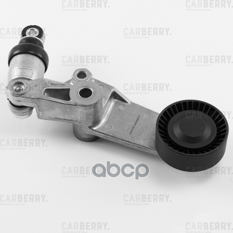 CARBERRY 55CA232