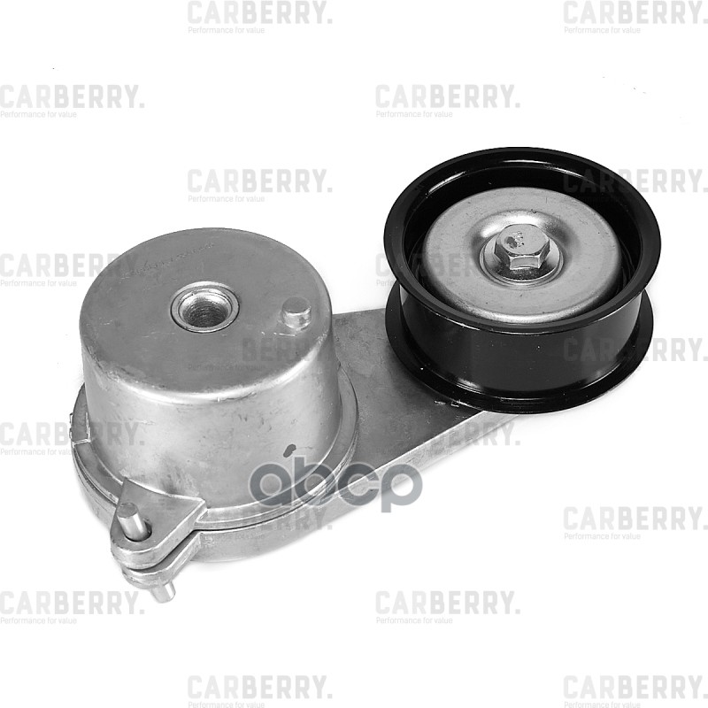 CARBERRY 55CA426