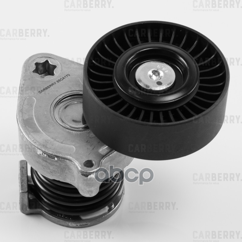 CARBERRY 55CA170