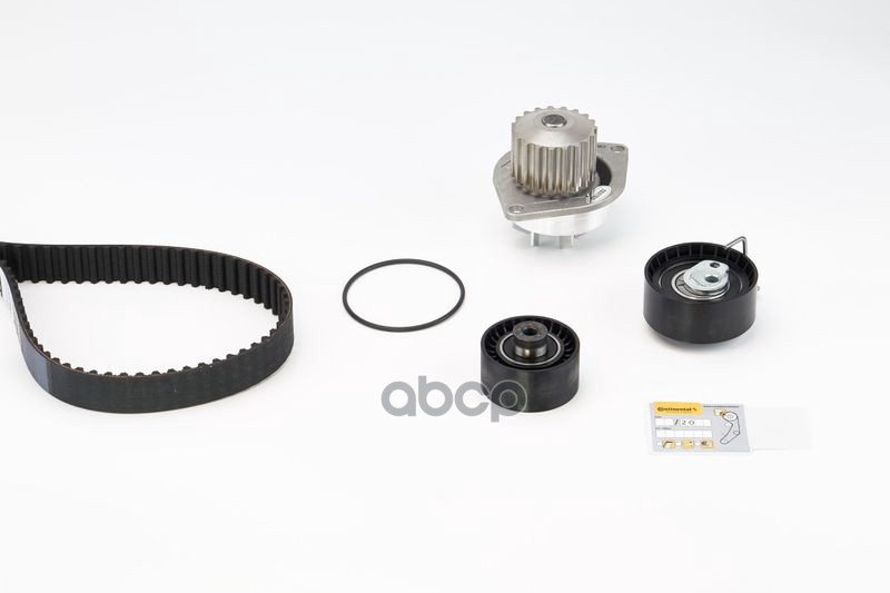 CONTITECH CT1065WP2