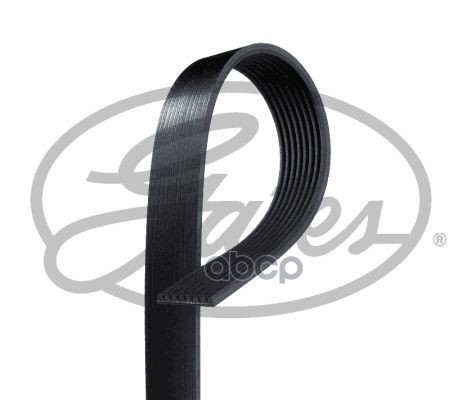 GATES 8PK2410