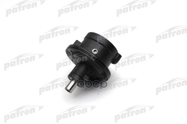 PATRON PPS083