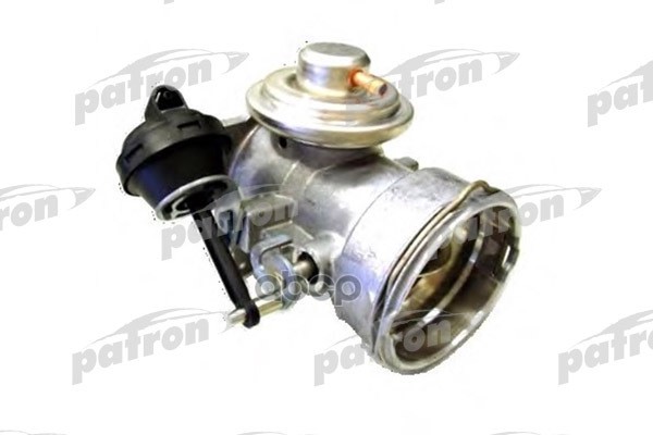 PATRON PEGR088