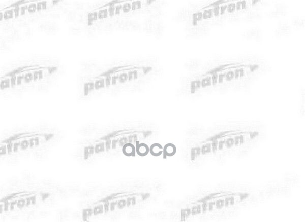 PATRON PPS710
