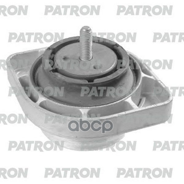 PATRON PSE30391