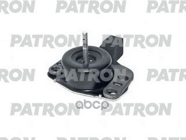 PATRON PSE30488
