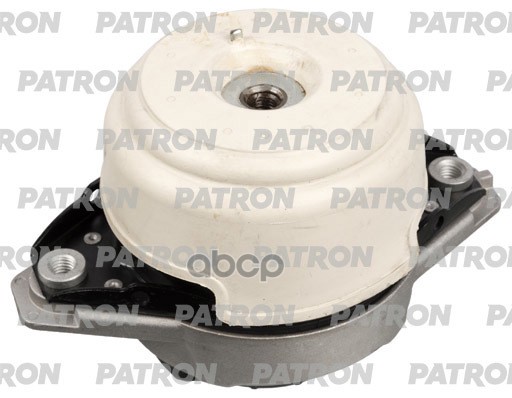 PATRON PSE30691