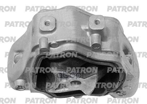 PATRON PSE30693