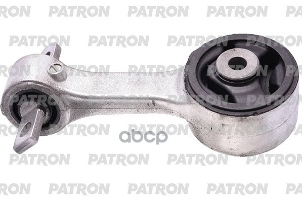 PATRON PSE30695