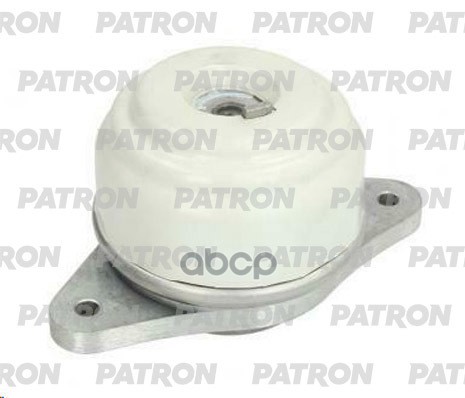 PATRON PSE30699