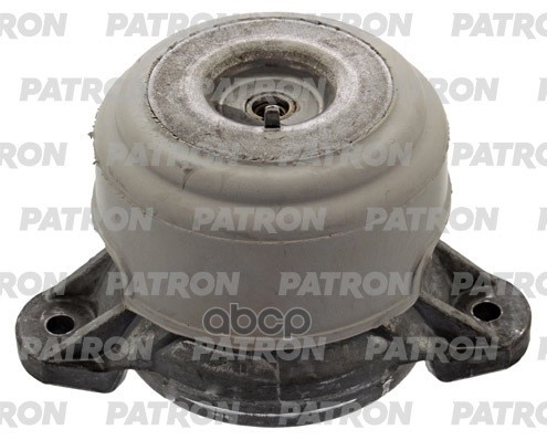 PATRON PSE30742