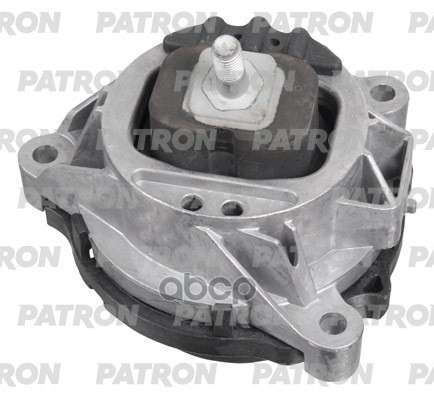 PATRON PSE30763