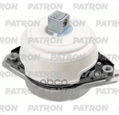 PATRON PSE30774
