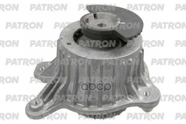 PATRON PSE30843