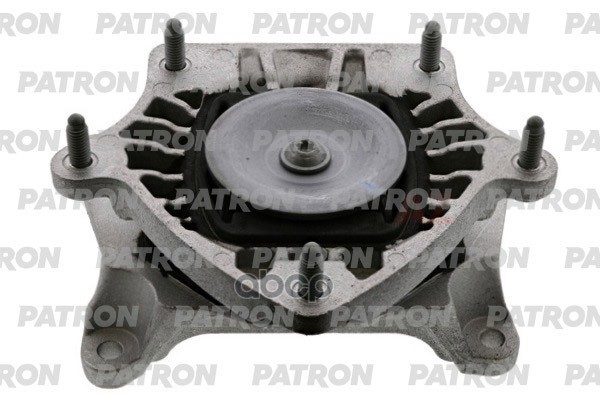 PATRON PSE30874
