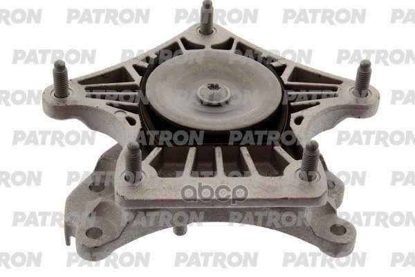PATRON PSE30875
