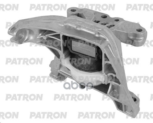 PATRON PSE30861