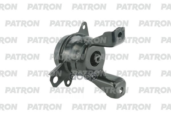 PATRON PSE30965