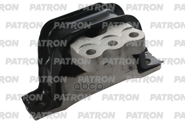 PATRON PSE30973