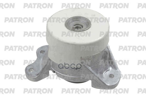 PATRON PSE30924
