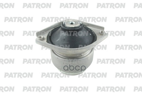 PATRON PSE31564