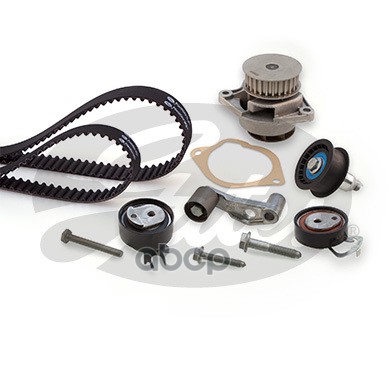 GATES KP25565XS1